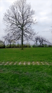 1558071096.gif